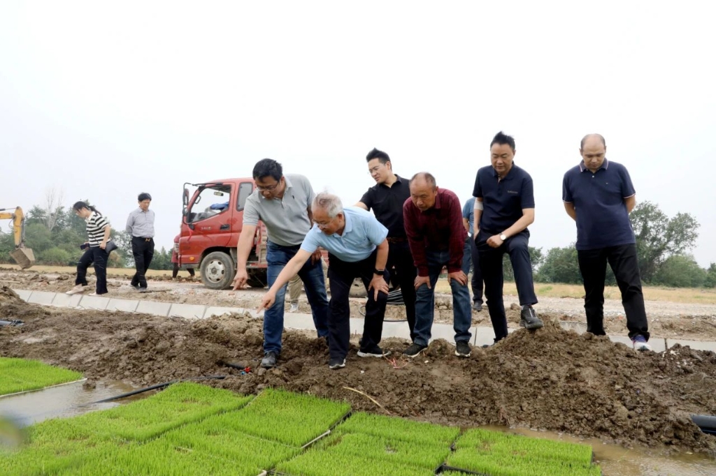 著名水稻育种专家、“南粳之父”王才林来和桥镇调研指导