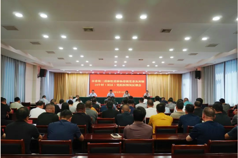 市委第三巡察组巡察杨巷镇党委及所辖14个村（社区）党组织情况反馈会召开
